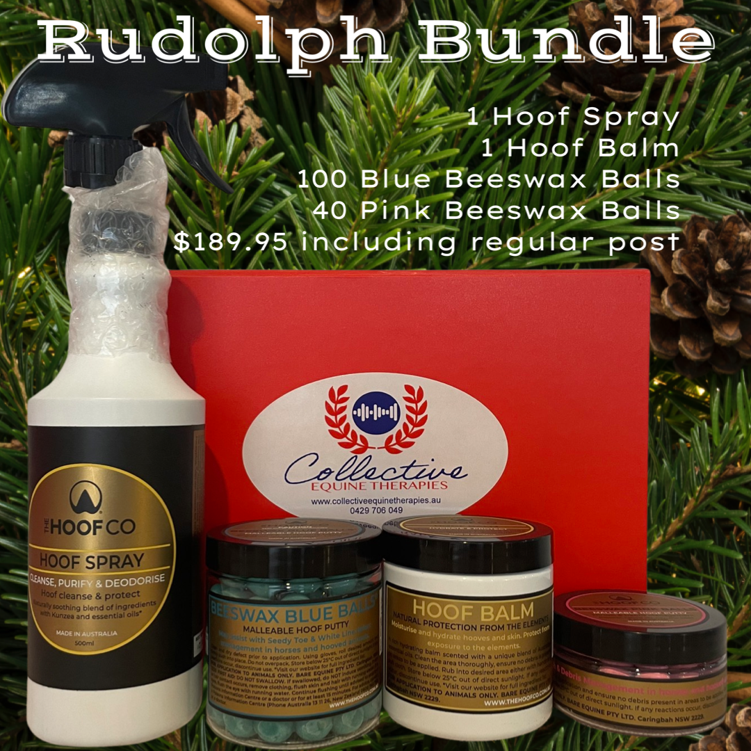 Rudolph Bundle