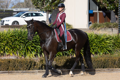 Equisk EngagedRider Resistance Bands