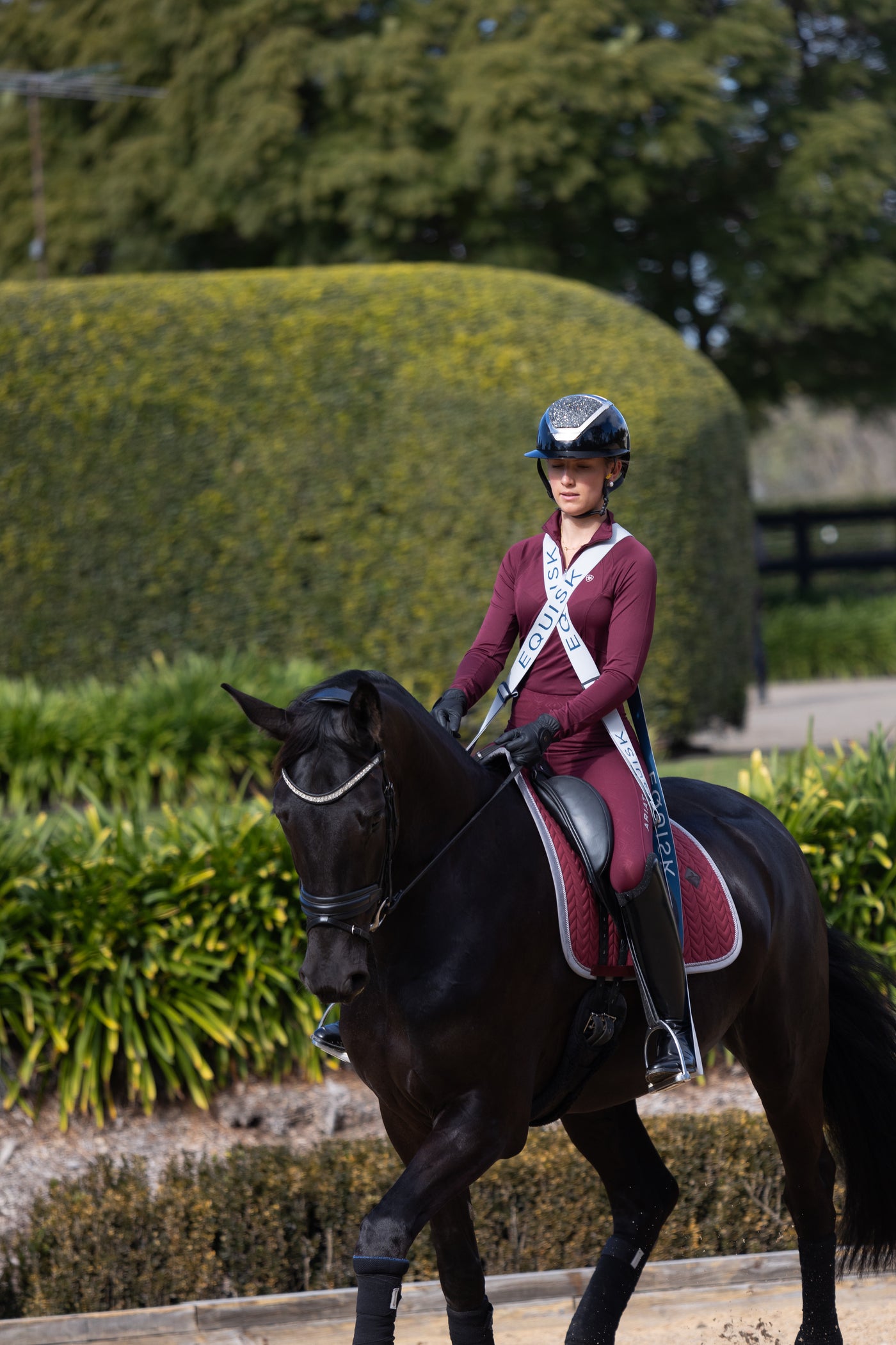 Equisk EngagedRider Resistance Bands